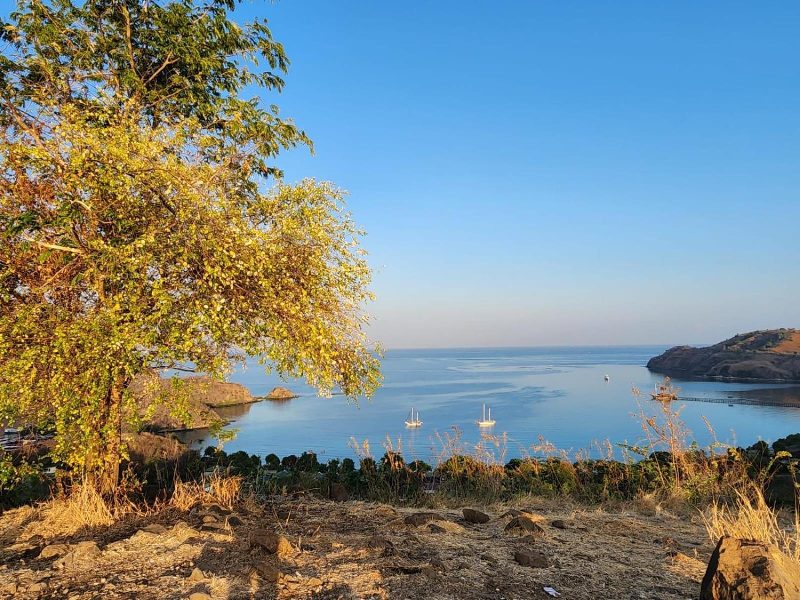 Sylvia Hotel & Resort Komodo 라부안 바조 외부 사진